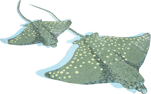 stingrays mosaic picture design