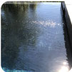Black Sea Glass Mosaics