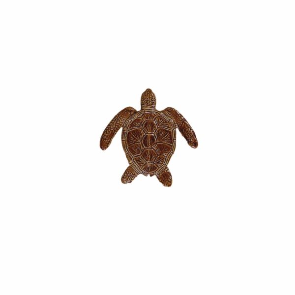 Loggerhead Turtle Brown