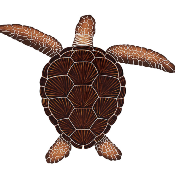 Brown Loggerhead Turtle - Large