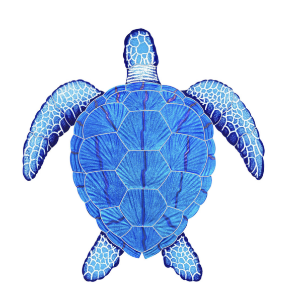 Blue Loggerhead Turtle - Large